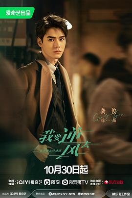 西北seo排名怎么合作